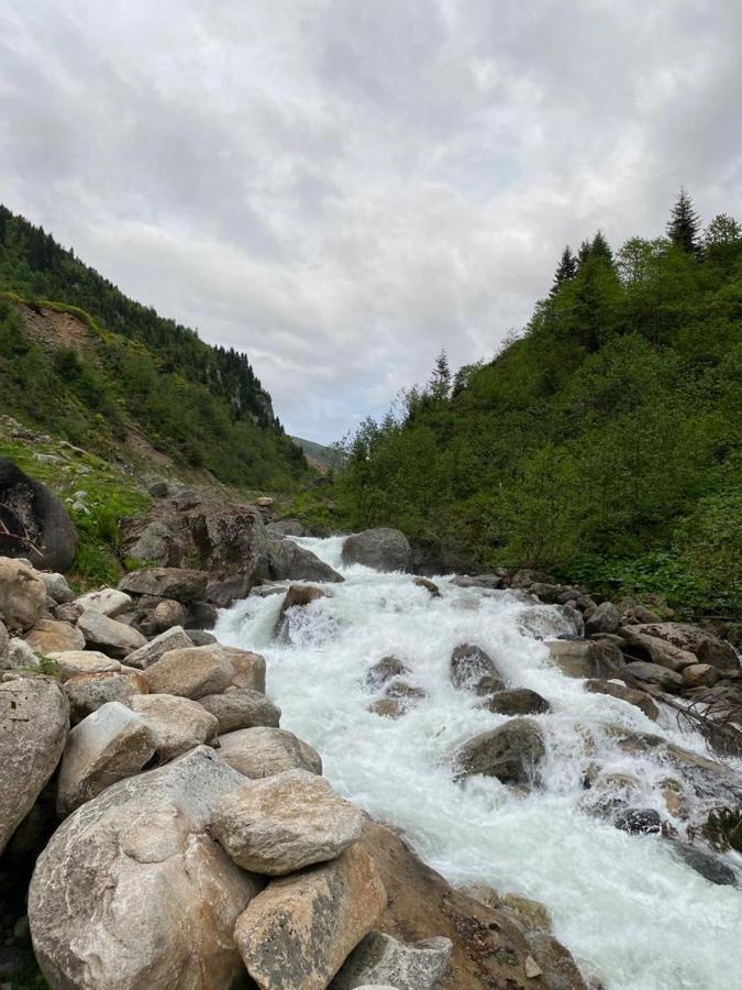 Serinyer Dag Evi Ayder Yaylasi Exterior foto