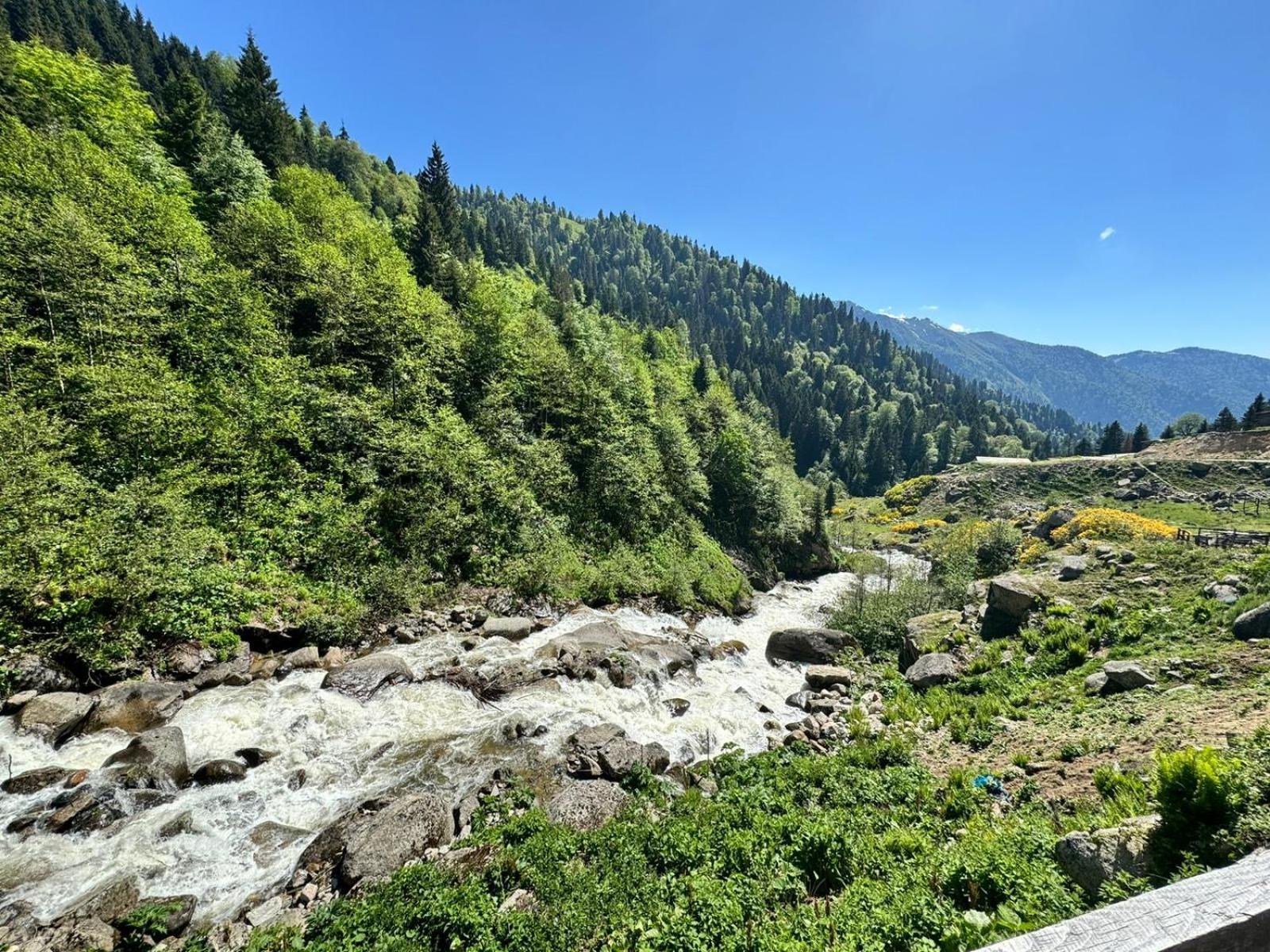 Serinyer Dag Evi Ayder Yaylasi Exterior foto