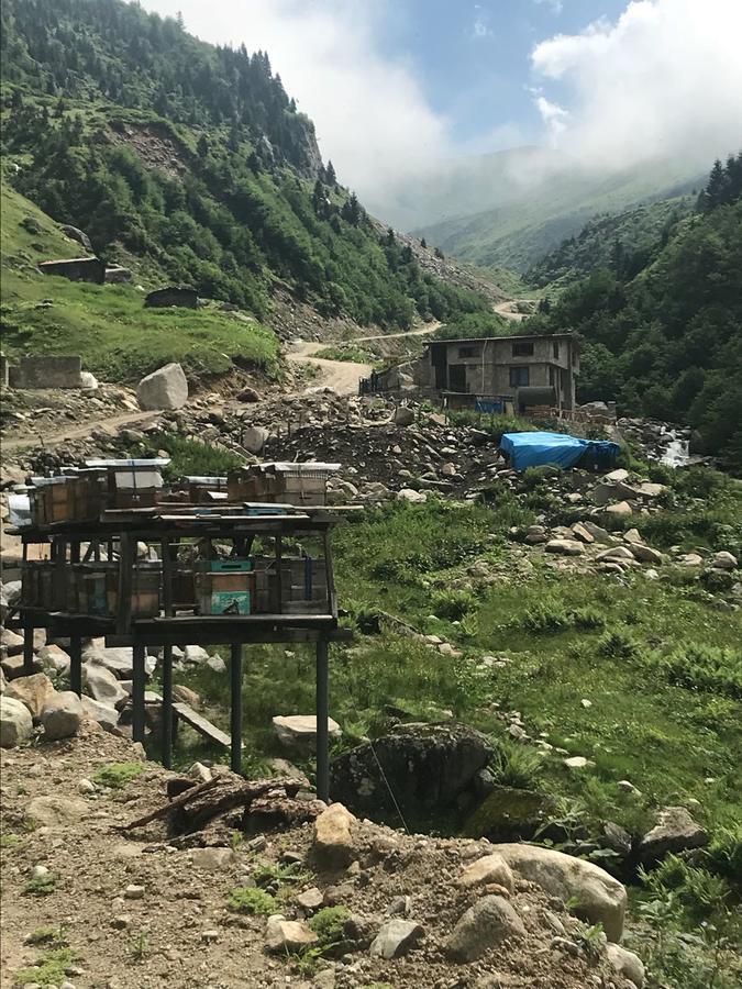 Serinyer Dag Evi Ayder Yaylasi Exterior foto